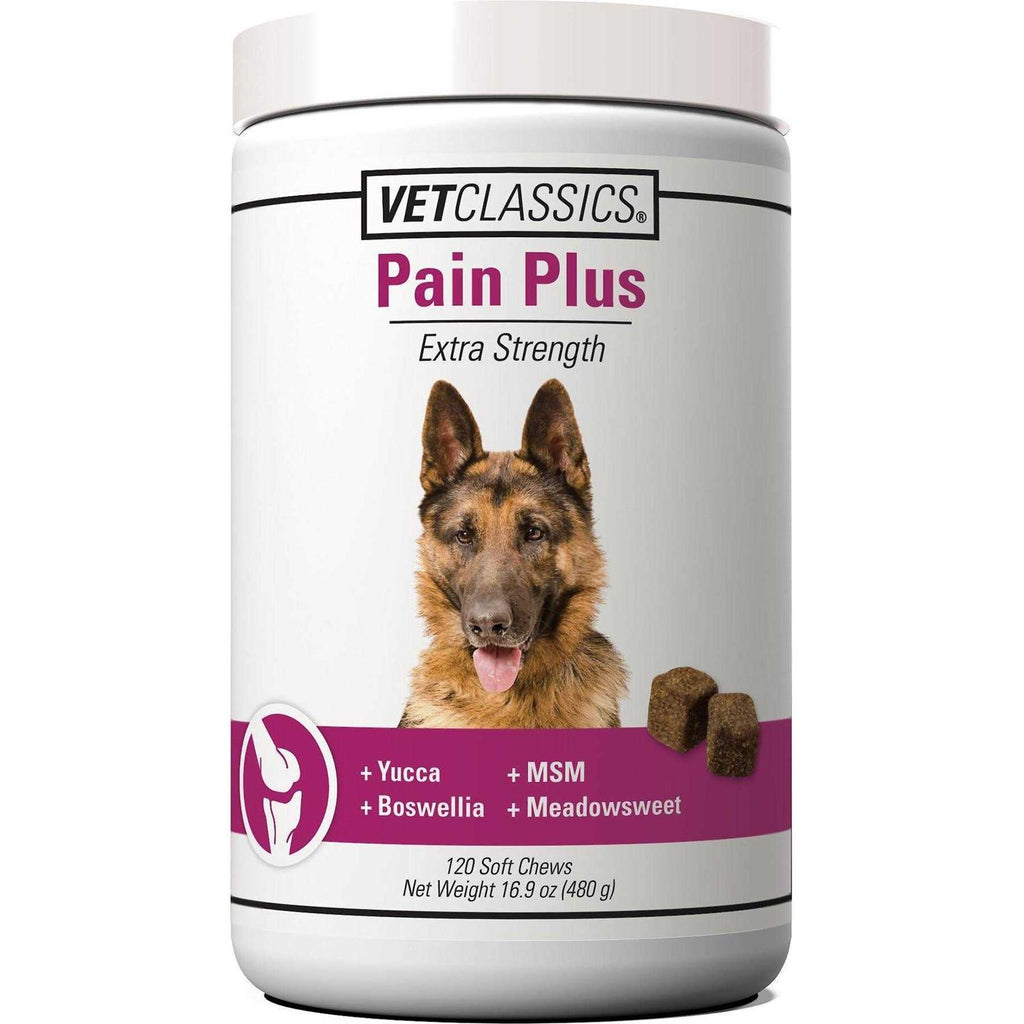 Pain Plus for Dogs I21912