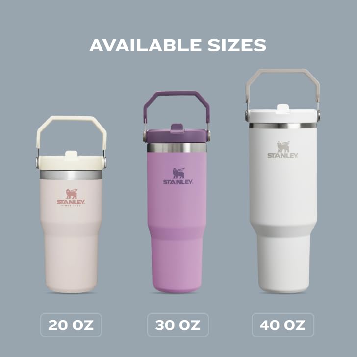 30 oz Insulated Stainless Steel Tumbler with Handle O633203