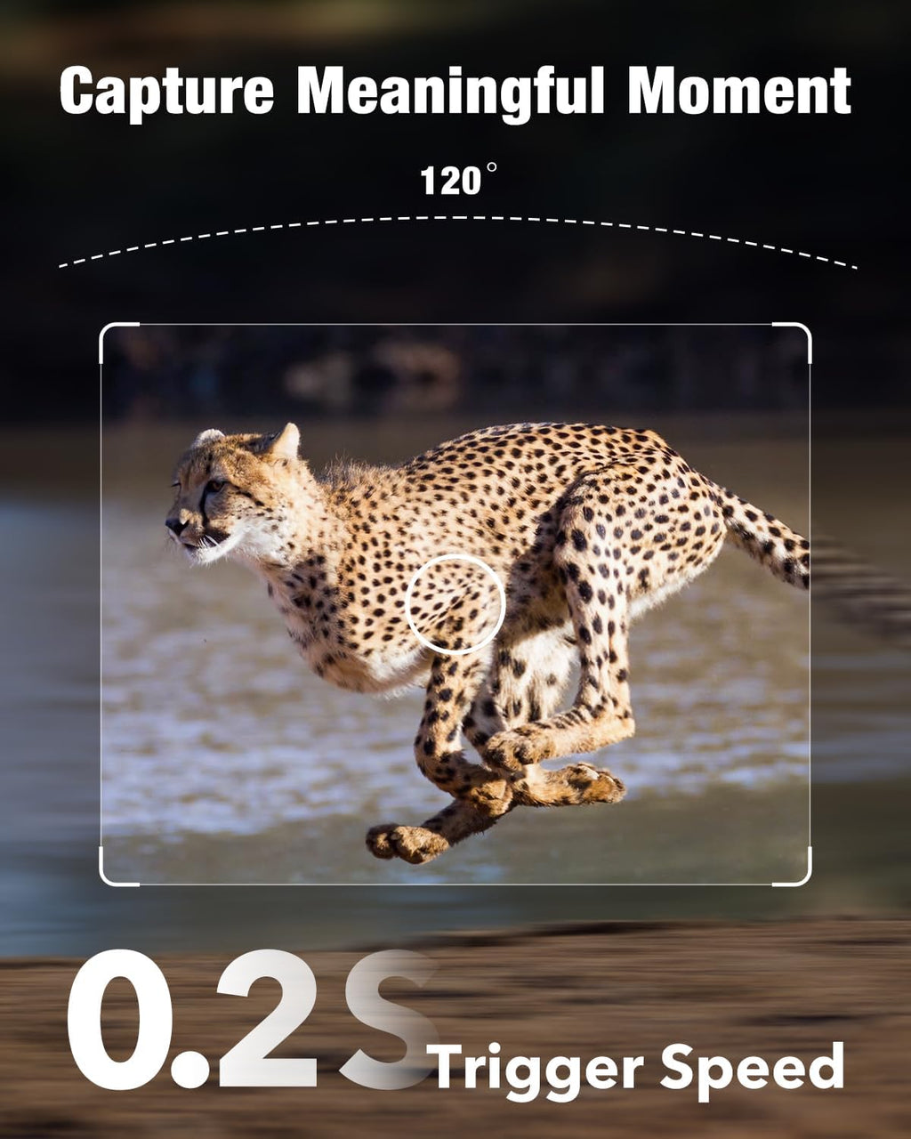 4G LTE Cellular Trail Camera with Solar Power L363