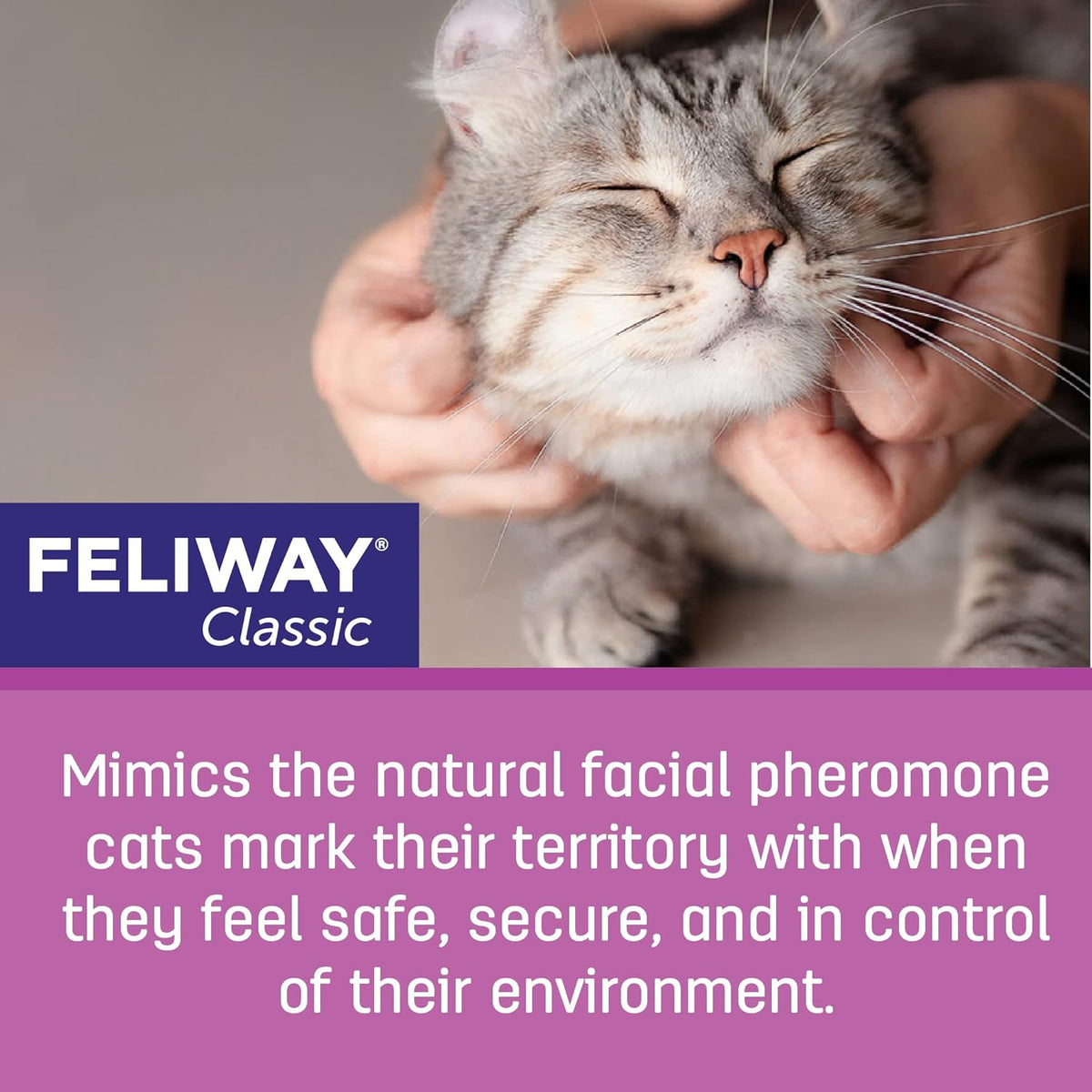 Cat Calming Pheromone 30 Day Refill 6 Pack U23555