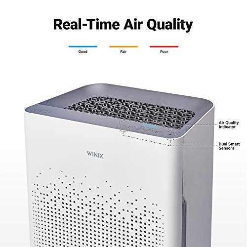 Air Purifier with True HEPA Carbon Filter and Auto Mode I468062