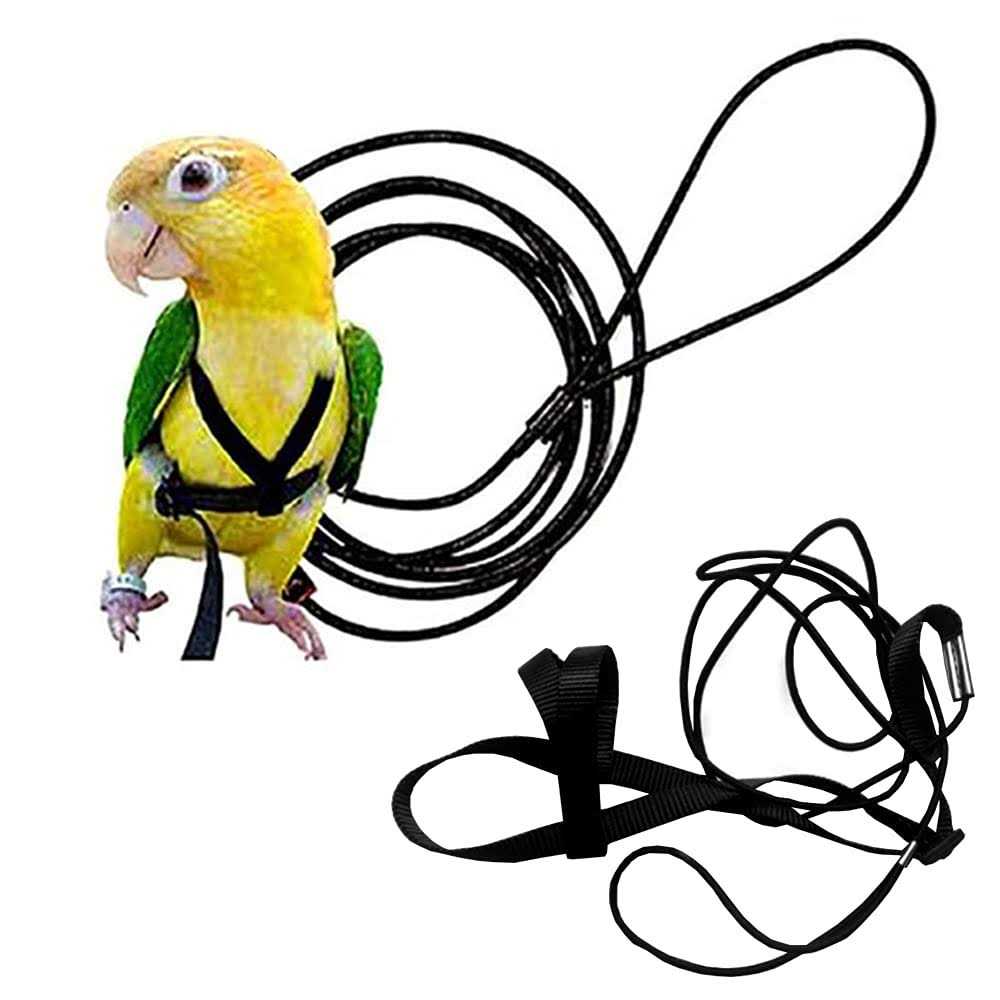 Adjustable Bird Harness and Leash I926