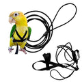 Adjustable Bird Harness and Leash I926