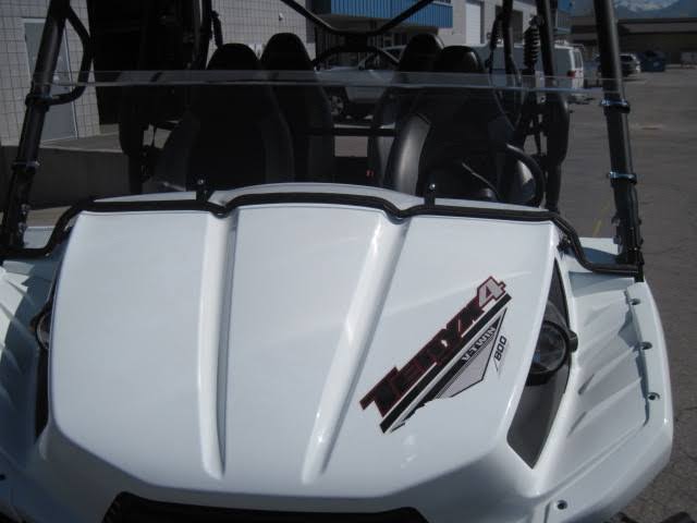 Windshield A41069