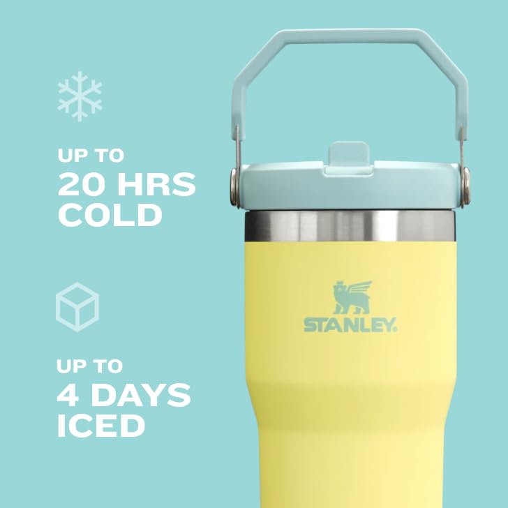 30 oz Insulated Stainless Steel Tumbler with Handle O633203