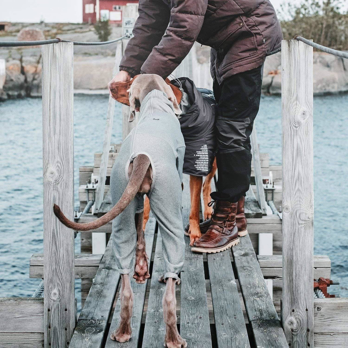 Carbon Grey Dog Body Warmer D5321