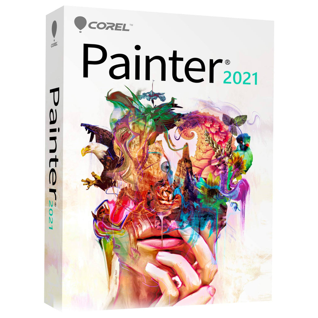 Painter 2021 W4655