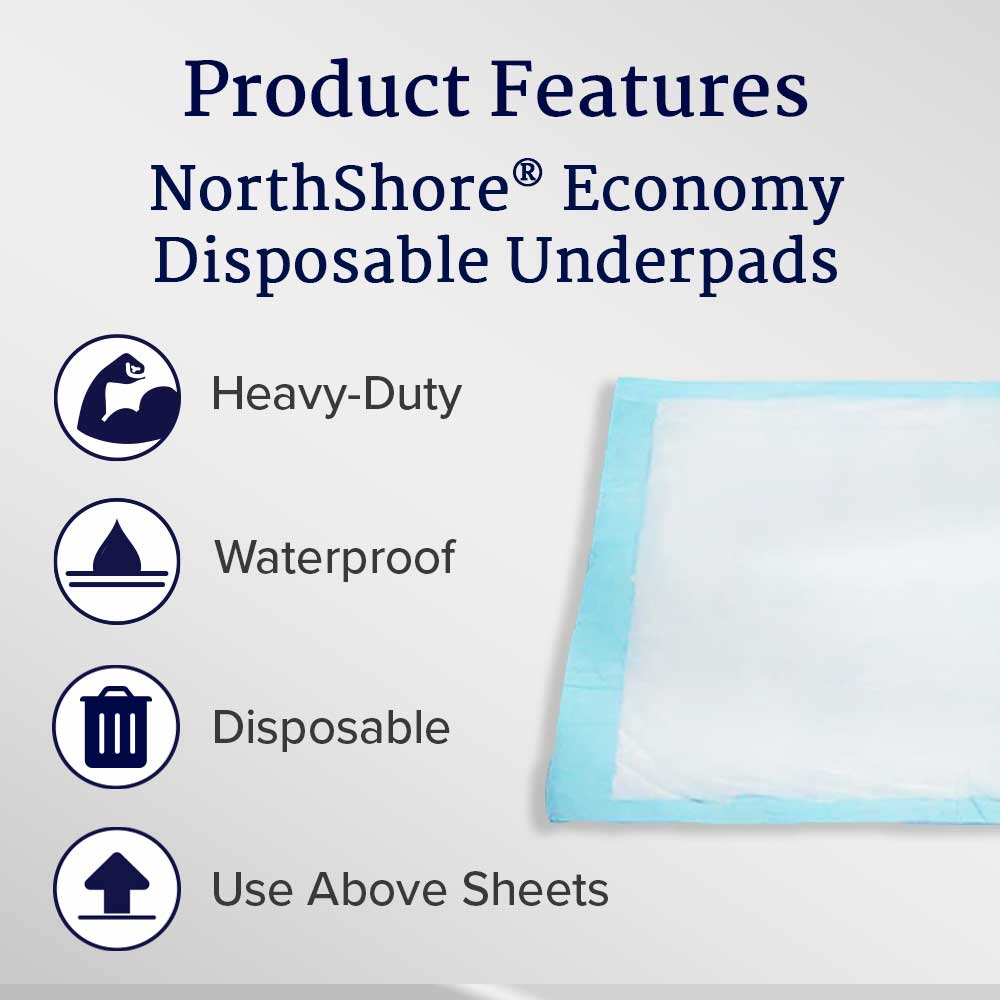 Economy Disposable Underpads, Large, 22x35 in., Case/150 C556361