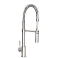 Brushed Nickel Kitchen Faucet K29621