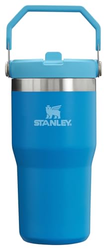 30 oz Insulated Stainless Steel Tumbler with Handle O633203