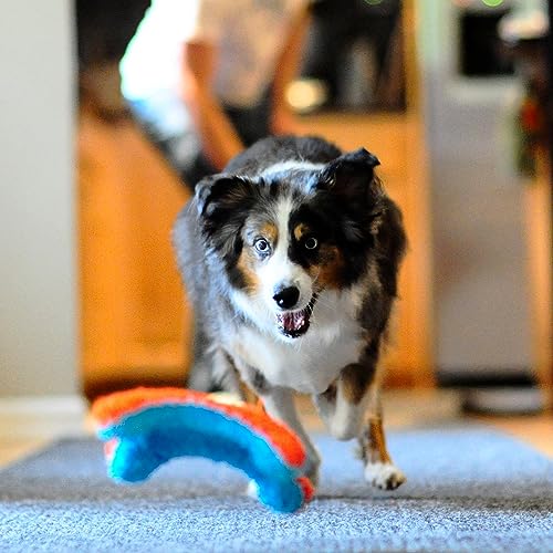 Orange and Blue 6.5 Inch Dog Toy M95866