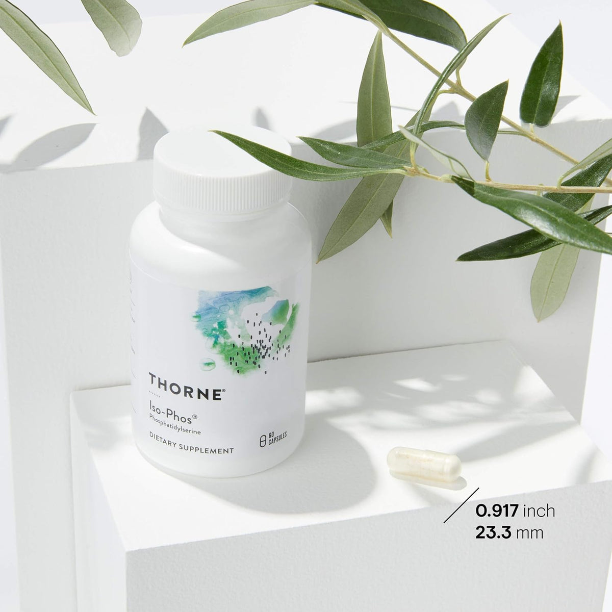 Phosphatidylserine Supplement 60 Capsules X771967