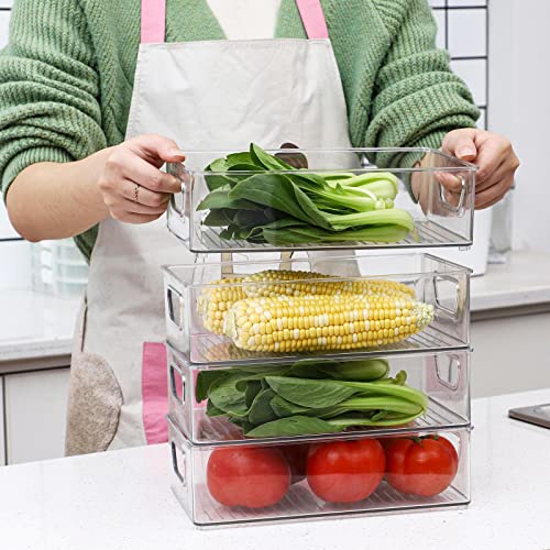 2 Pack Clear Plastic Stackable Storage Bin R500
