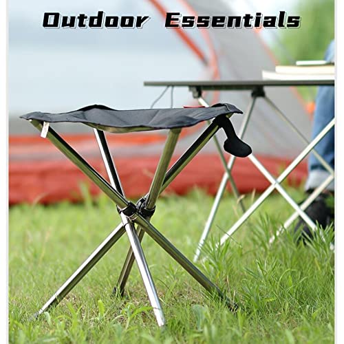 Portable Camping Stool with Side Pocket 12.5in Foldable D841