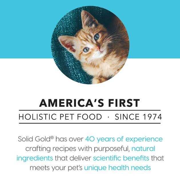 Canned Cat Food Tuna Recipe in Gravy K762962