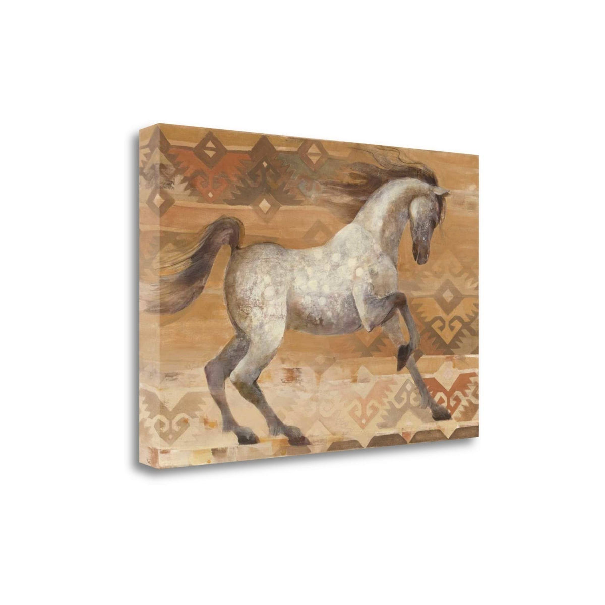 Southwest Giclee on Gallery Wrap Canvas H909