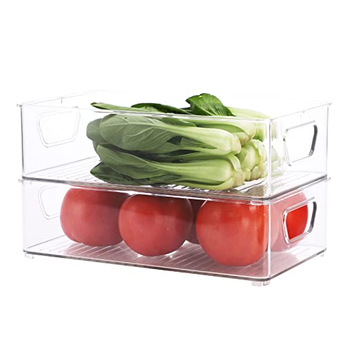 2 Pack Clear Plastic Stackable Storage Bin R500