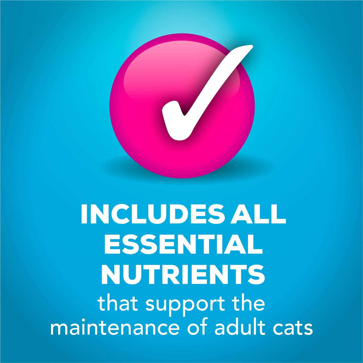 Wet Cat Food V266