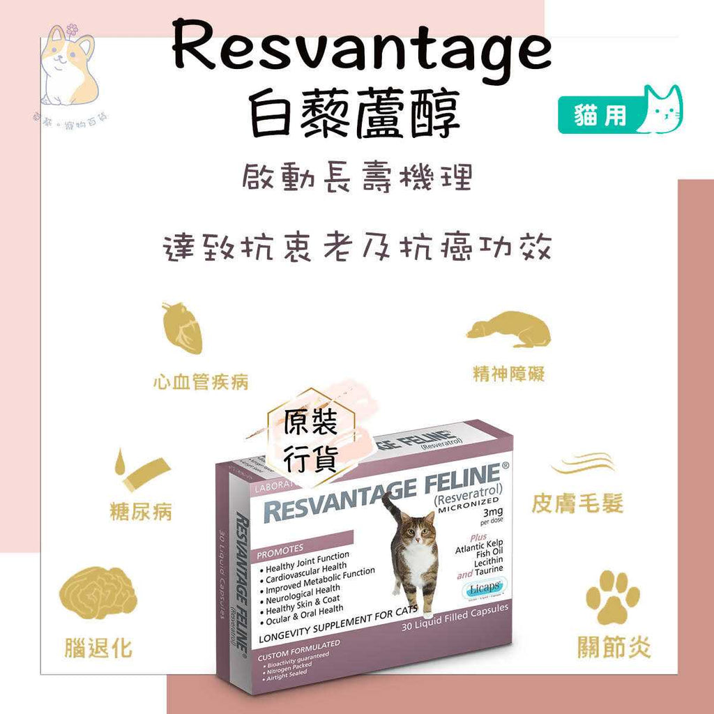 Pet Supplies N9089
