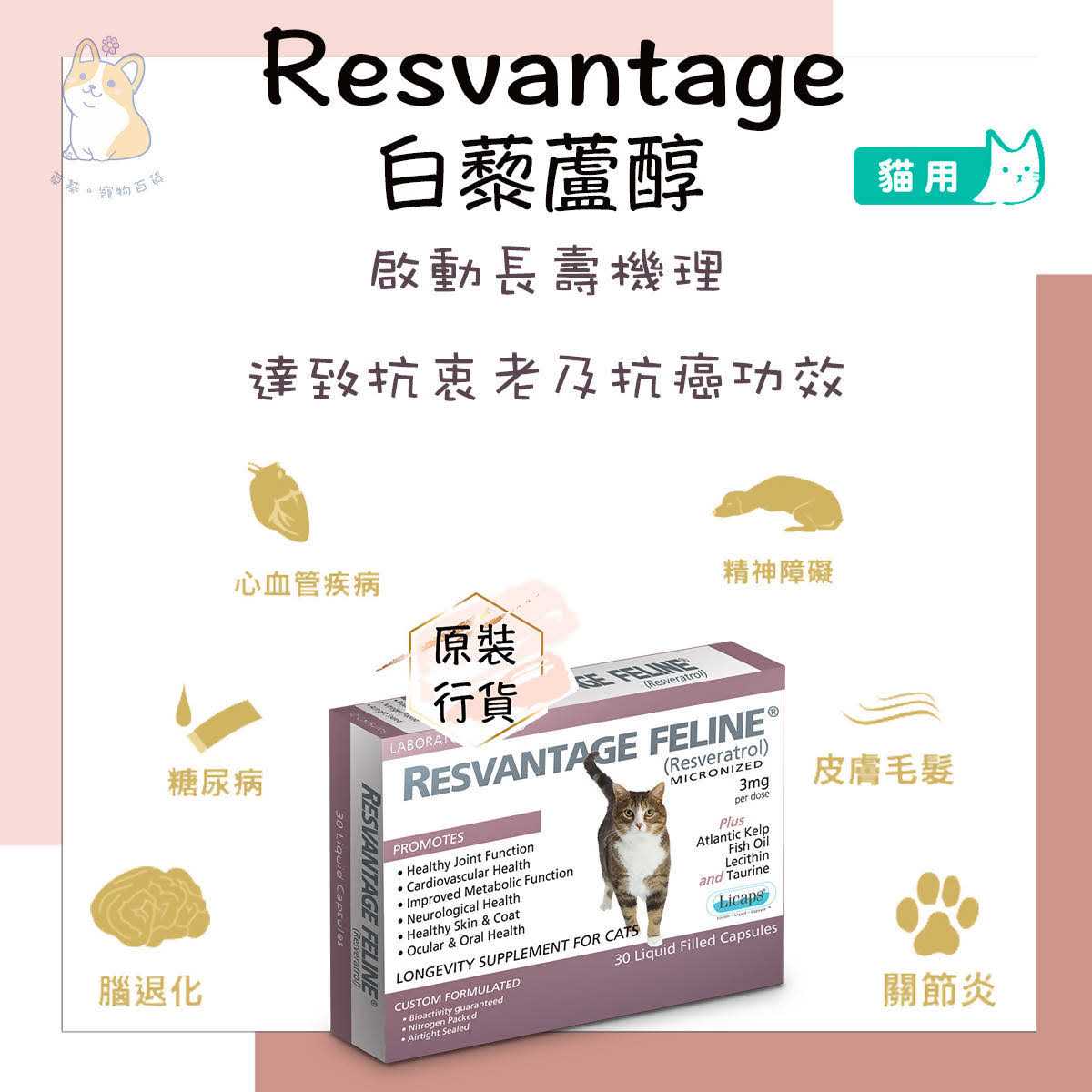 Pet Supplies N9089