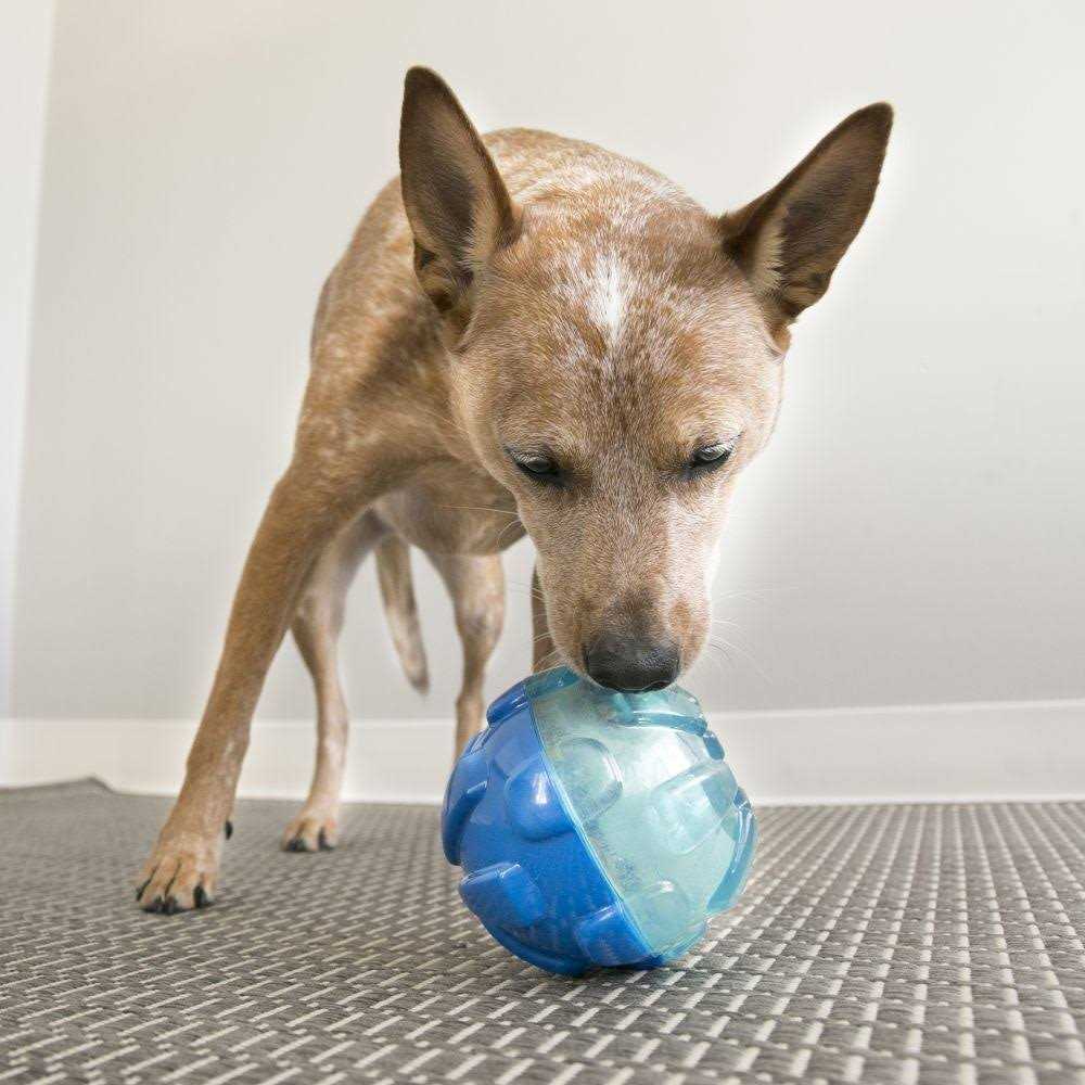 Ball Dog Toy Z724