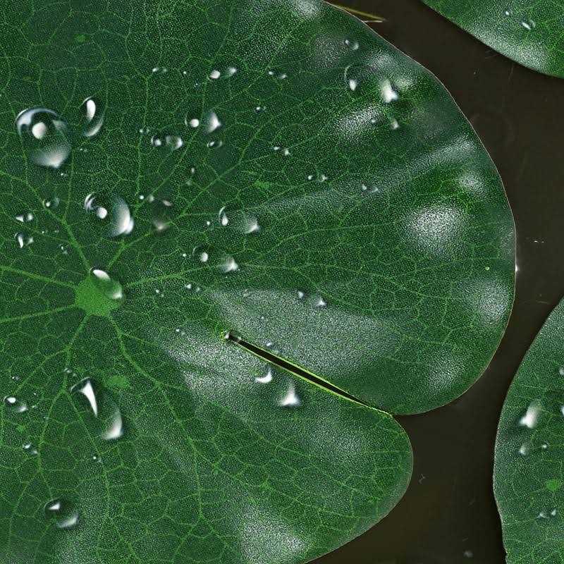 Artificial Lotus Leaves Lily Pads Floating Foam V767