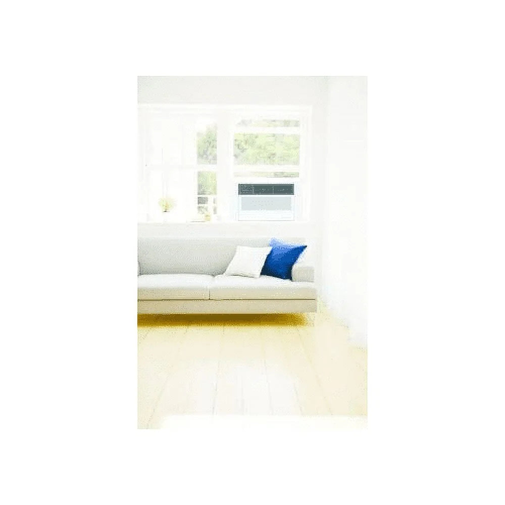 10000 BTU Window Air Conditioner F287610