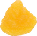 5 Pound Fat Anatomical Model TPE F3522