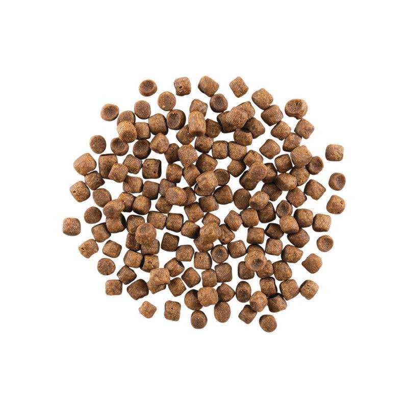 Grain Free Chicken Turkey V3096