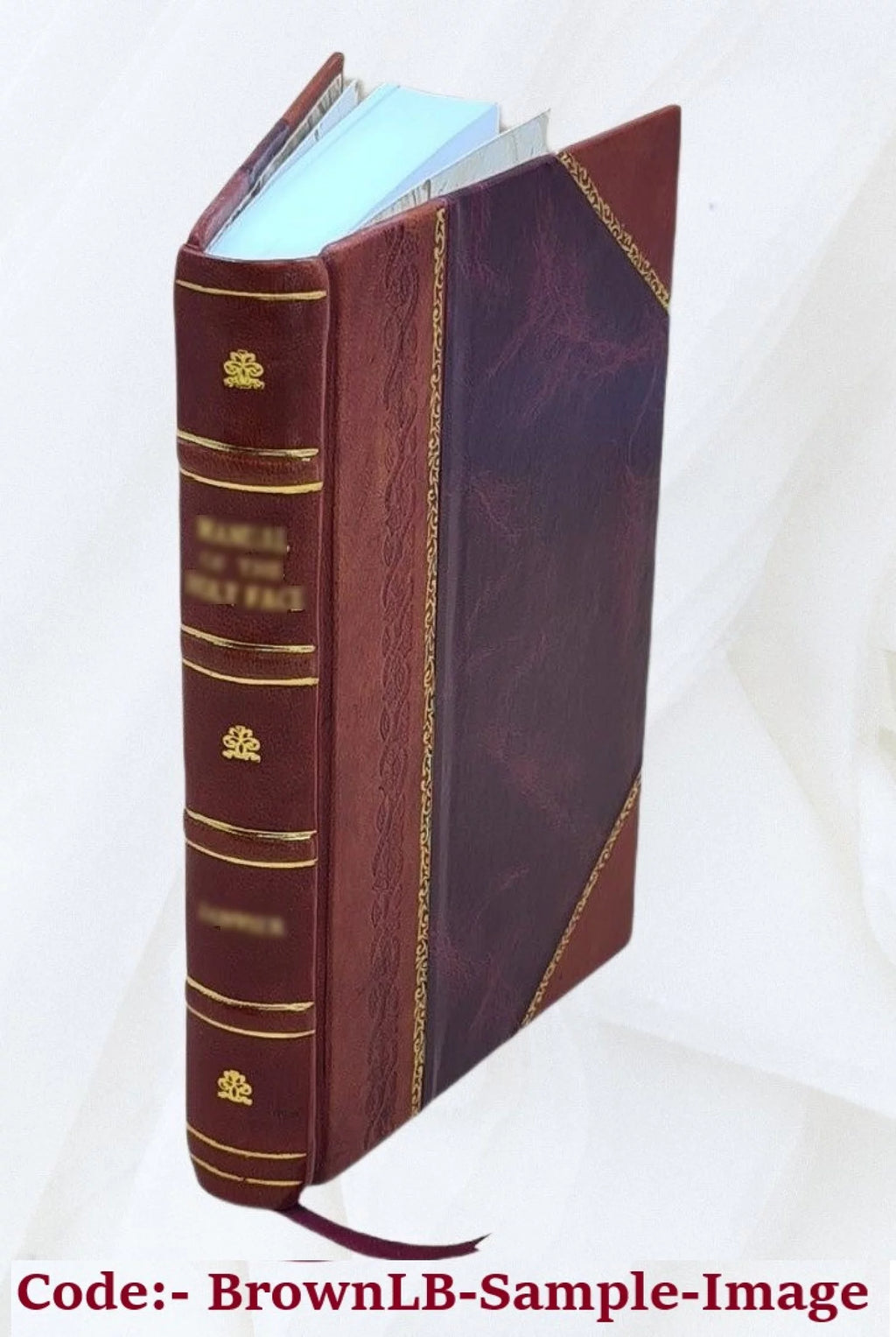 Snake River study Interim Report No 1 Leather Bound C65134