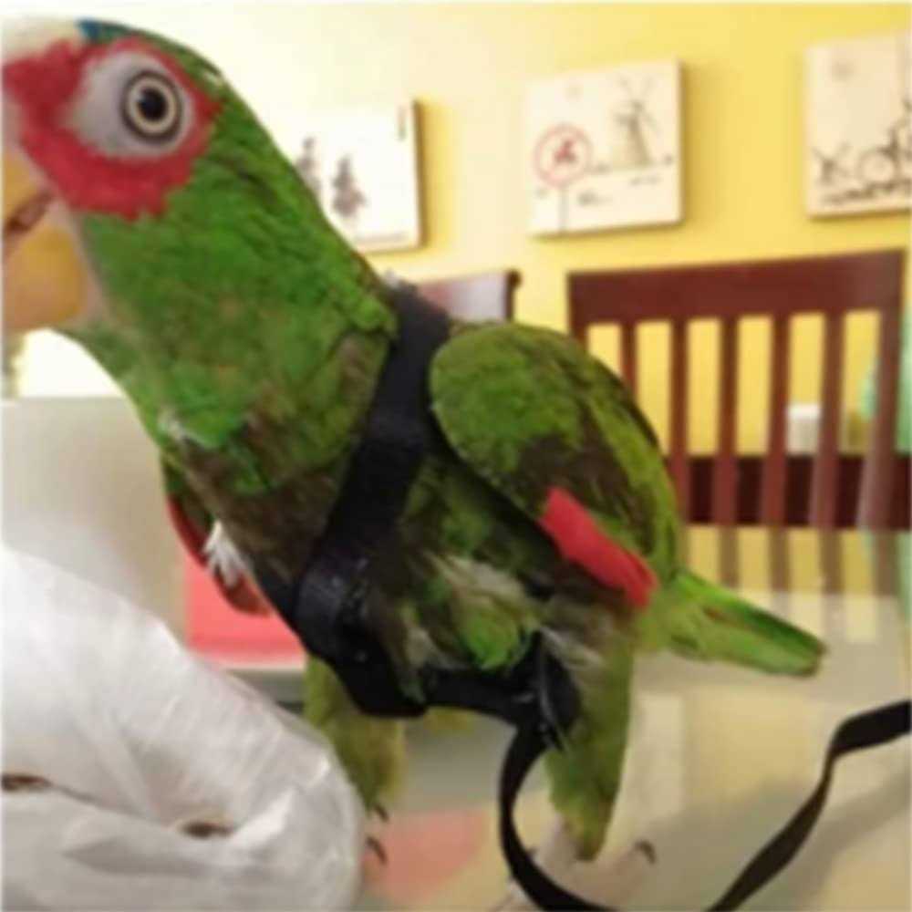 Adjustable Bird Harness and Leash I926