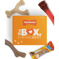 Chew Toy & Treat Gift Box L167486