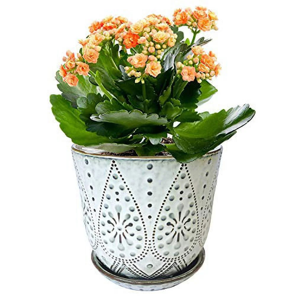 6 Inch Ceramic Planter with Drainage Hole and Saucer, Set of 2 R6401