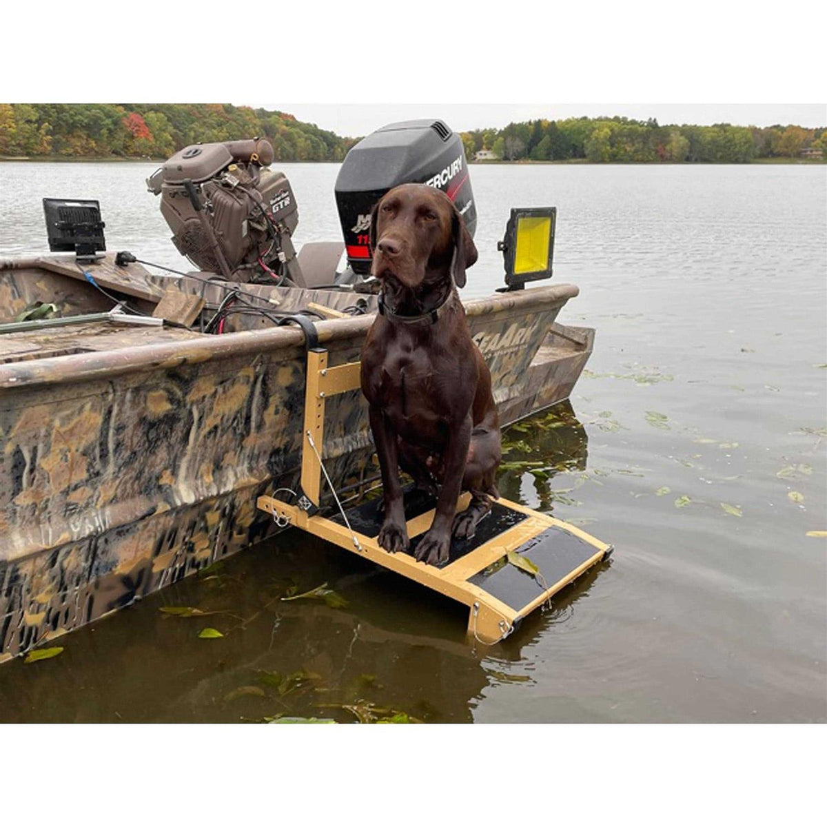 Dog Ladder/Ramp Platform K5773