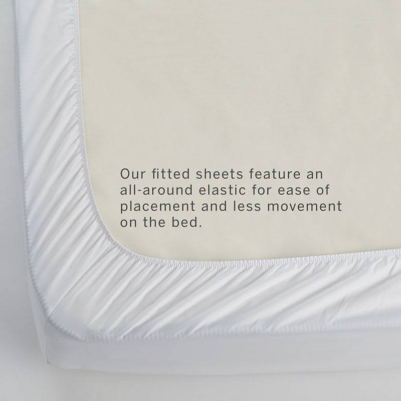 Purple Twin Fitted Sheet E1004