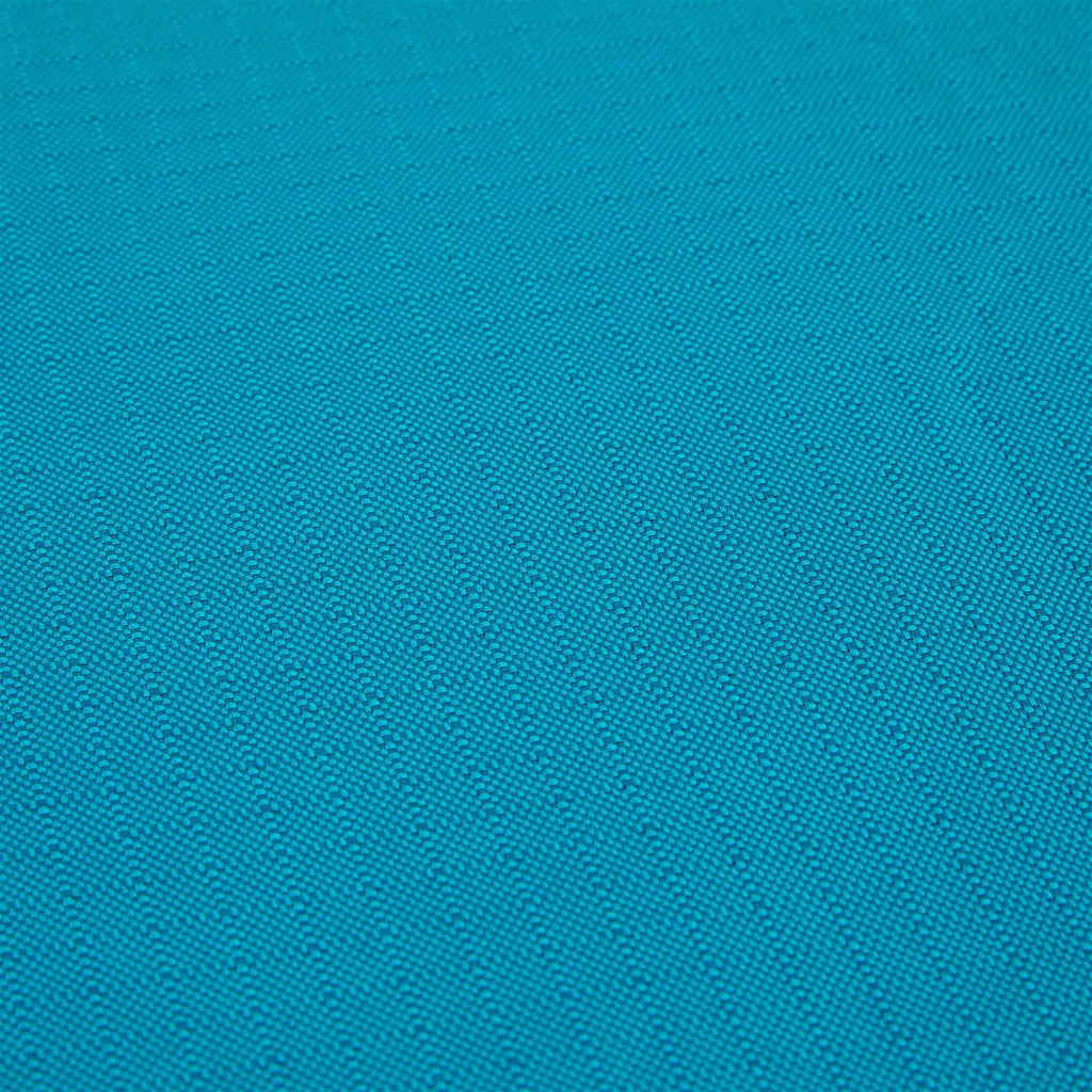 Teal Dog Mat V411