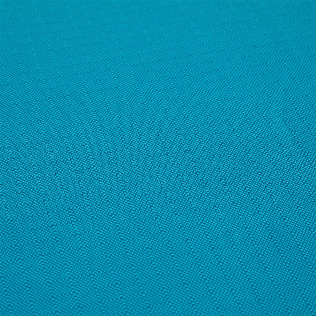 Teal Dog Mat V411