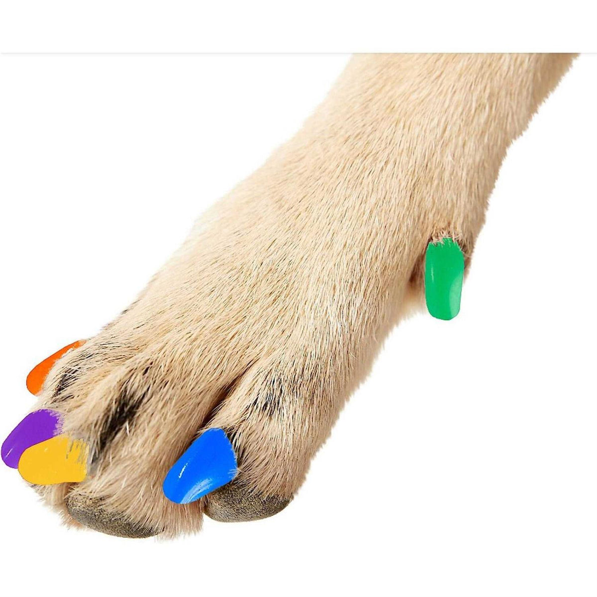 Soft Nail Caps for Dogs Z860