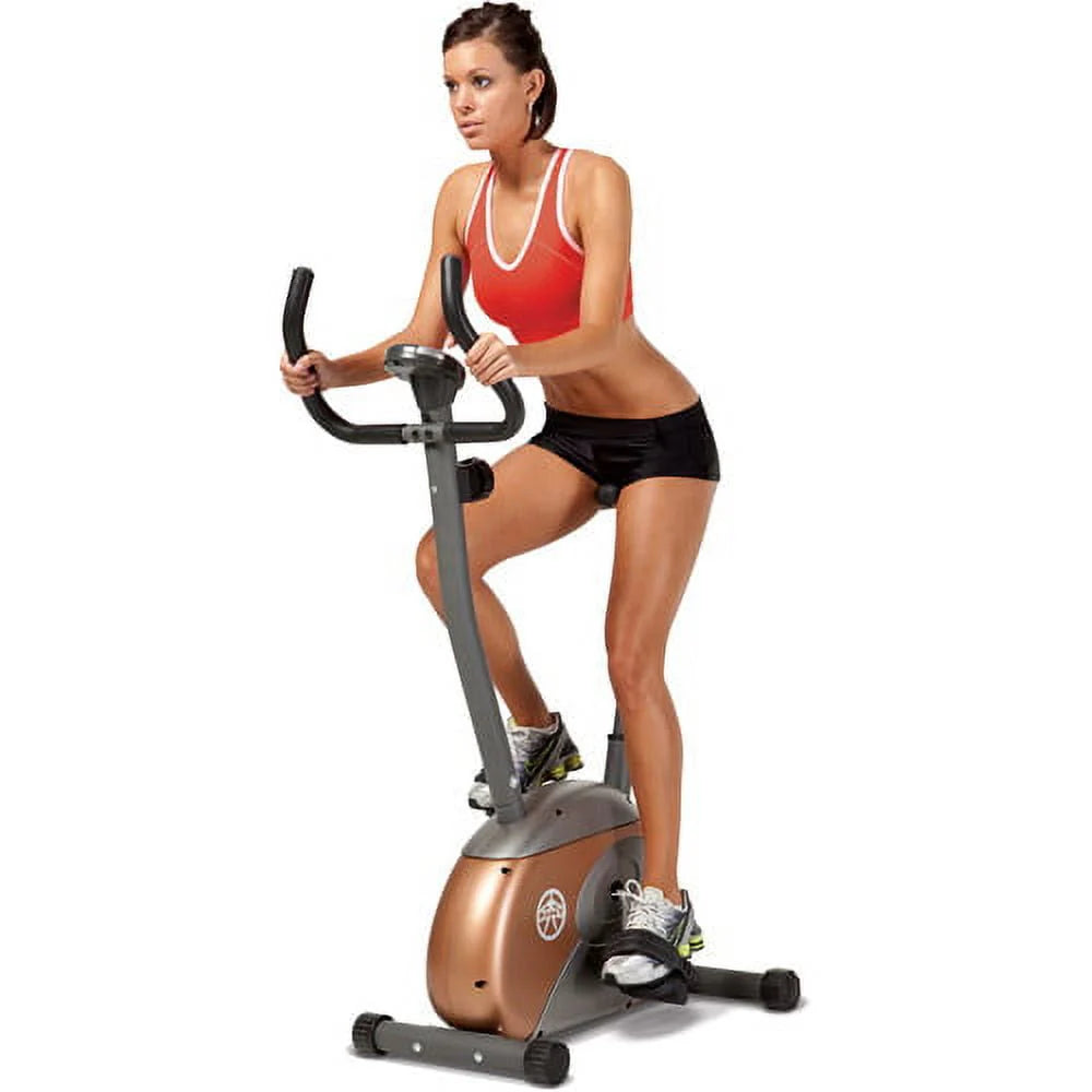 Upright Exercise Bike Y11915