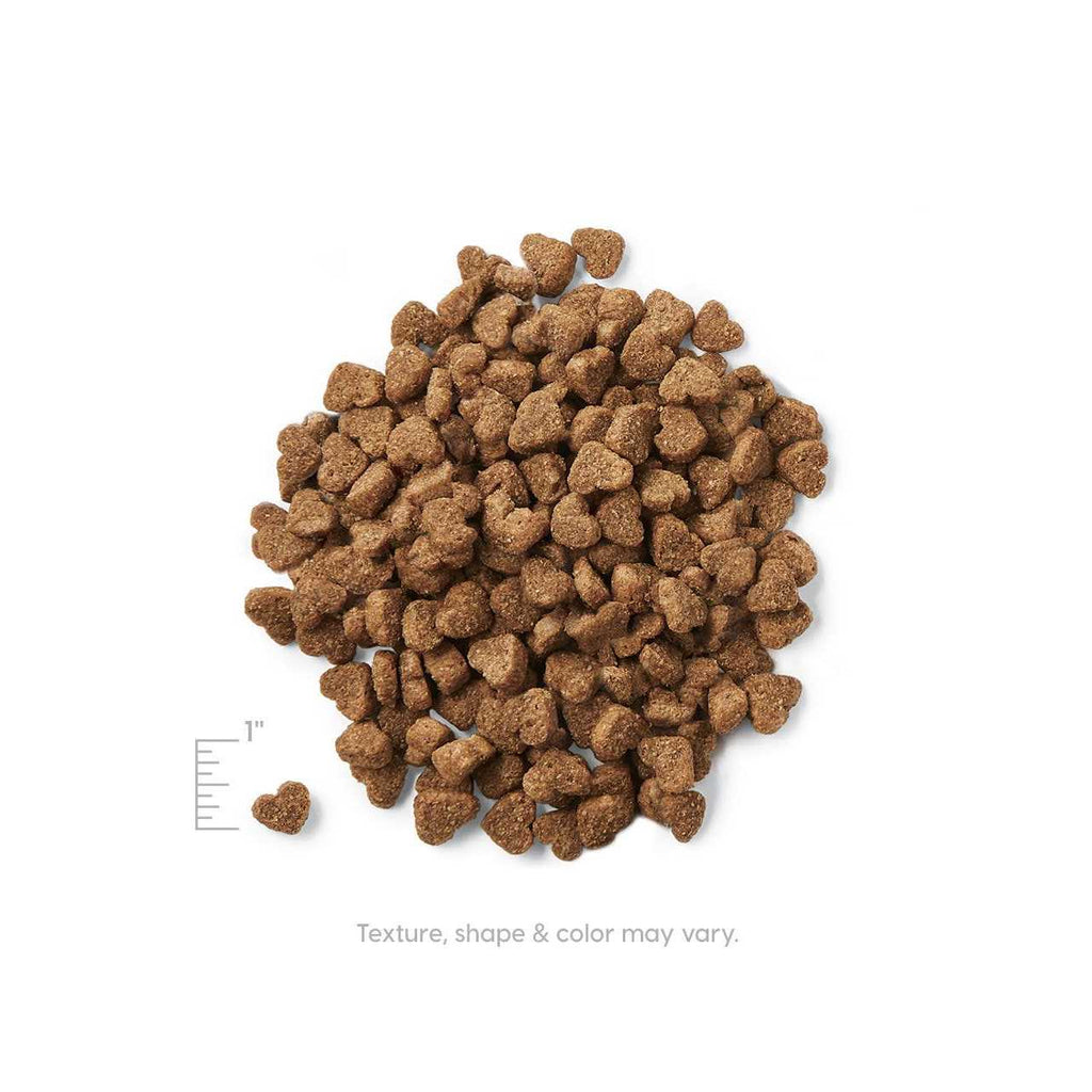 Grain Free Dry Puppy Food F3136