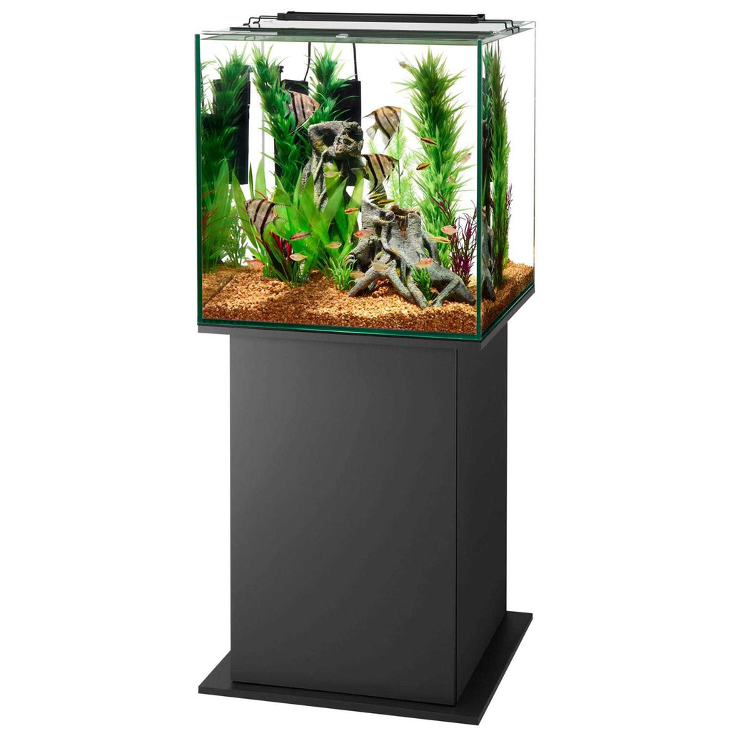 Black Pedestal Aquarium Stand F218