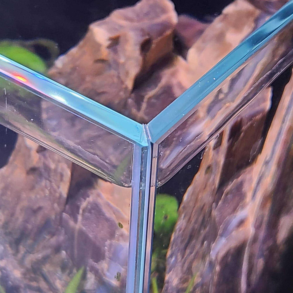 Ultra Low Iron Glass Aquarium with Filter K694