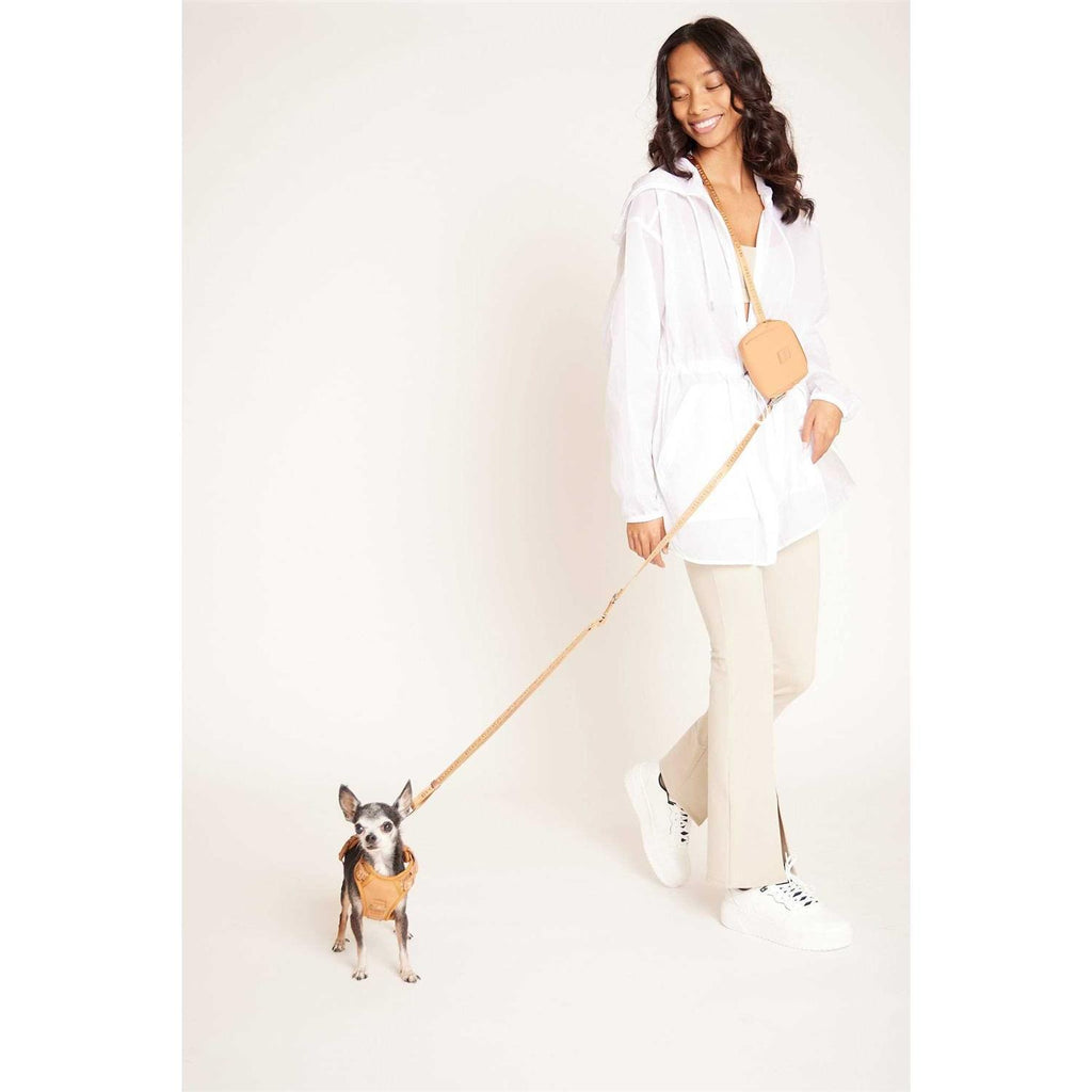 Hands Free Leash S572