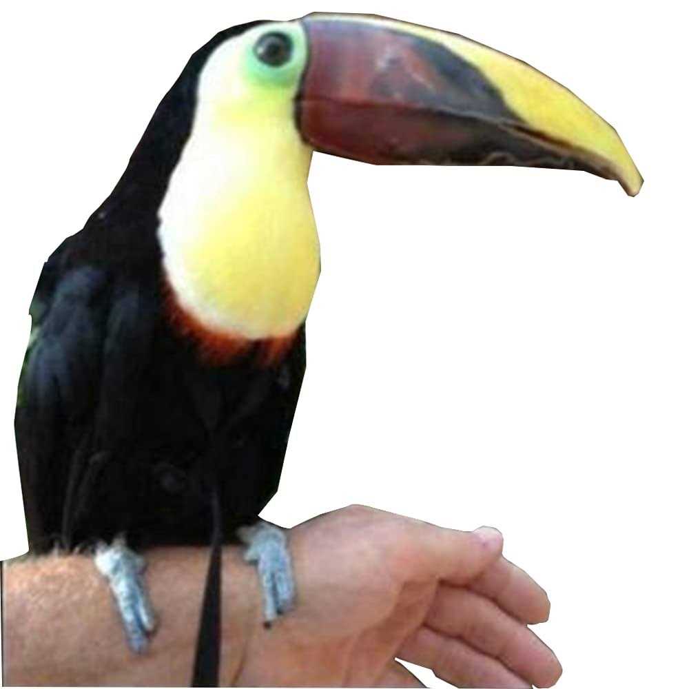 Adjustable Bird Harness and Leash I926