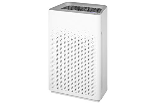 Air Purifier with True HEPA Carbon Filter and Auto Mode I468062
