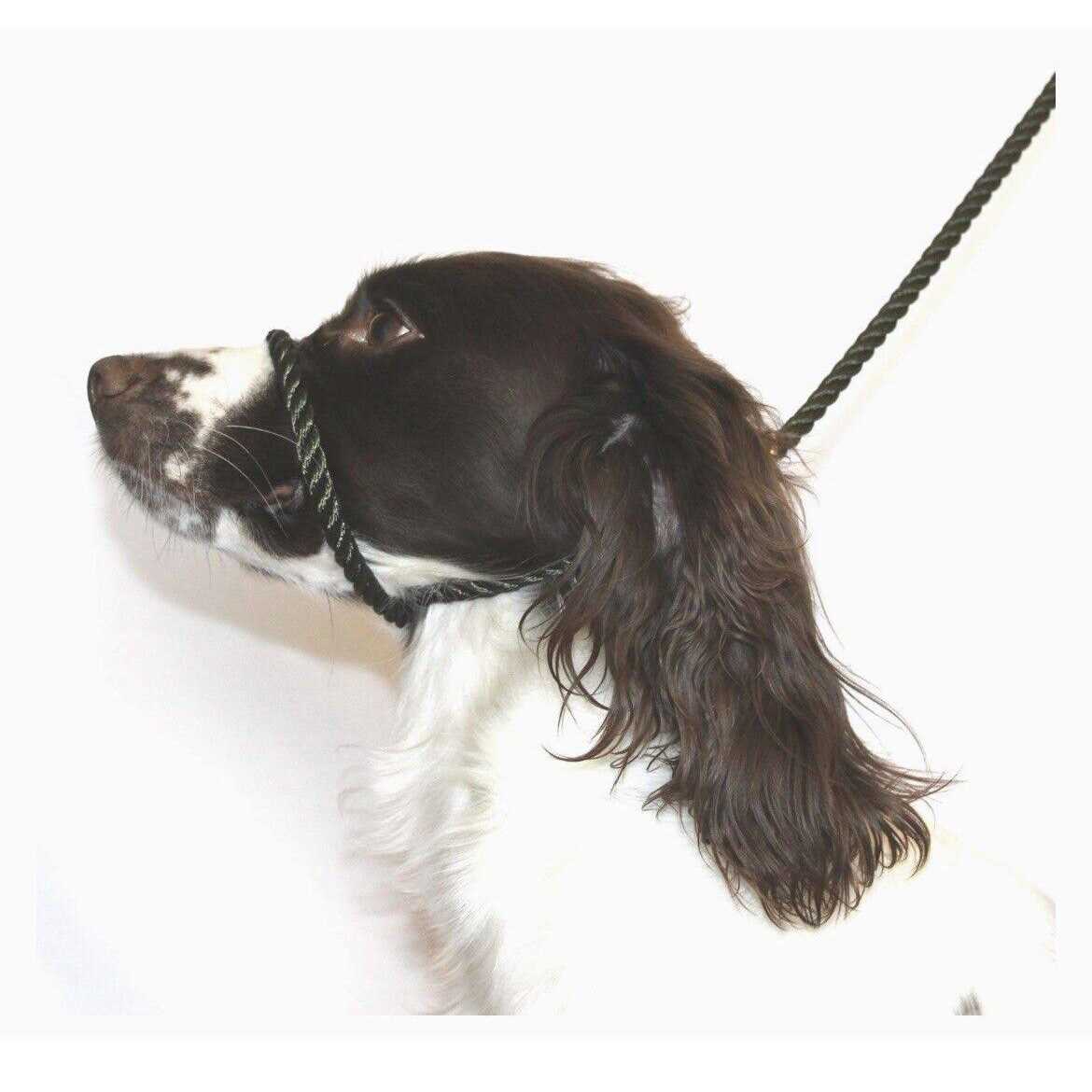 Anti Pull Dog Leash Halter Head Collar One Size Fits All D6488