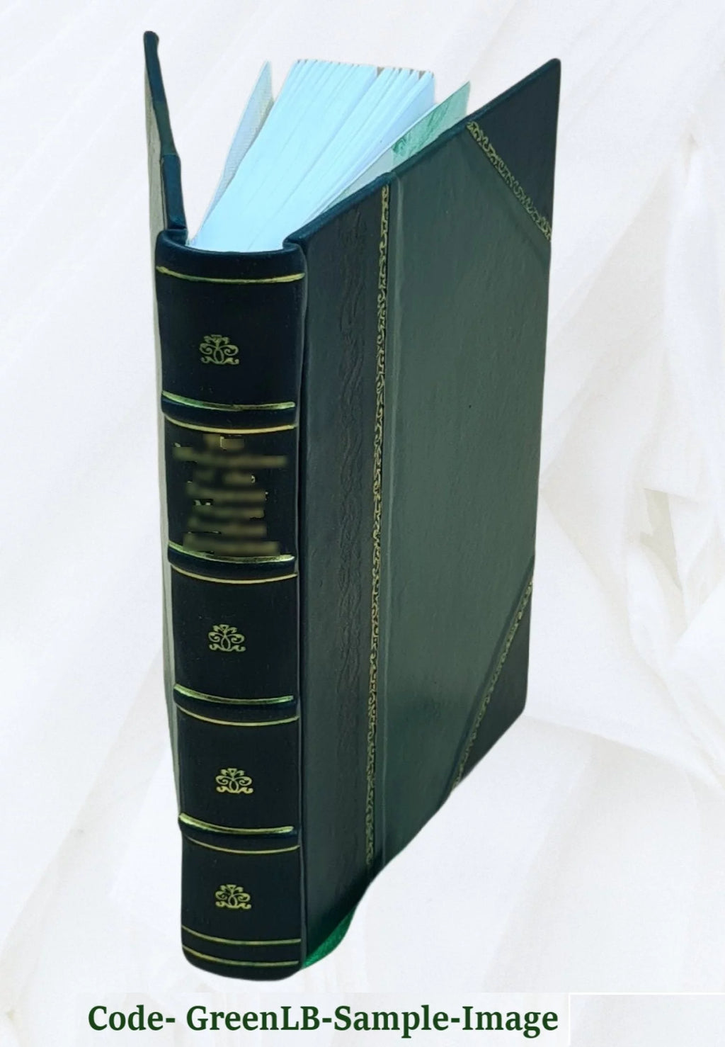 Snake River study Interim Report No 1 Leather Bound C65134