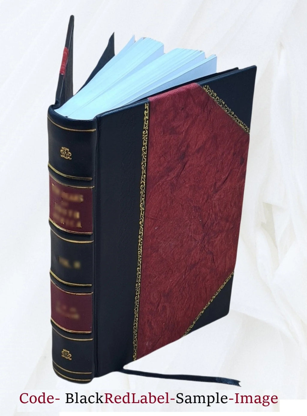 Snake River study Interim Report No 1 Leather Bound C65134