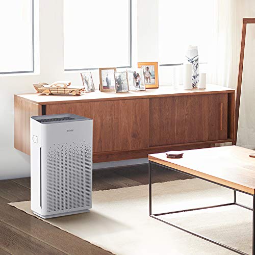 Air Purifier with True HEPA Carbon Filter and Auto Mode I468062